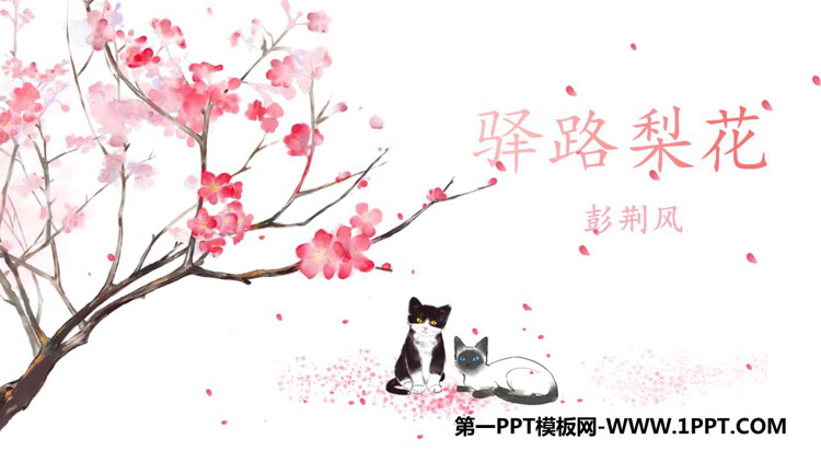 《驿路梨花》PPT优秀课件下载
