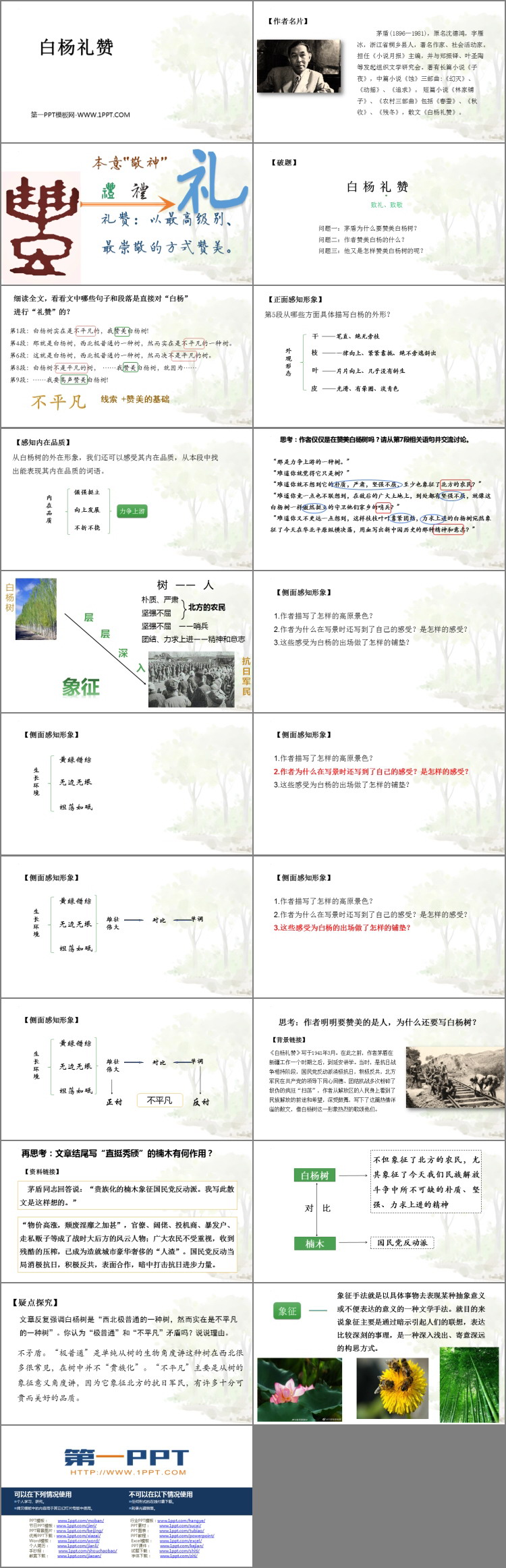 《白杨礼赞》PPT免费教学课件
