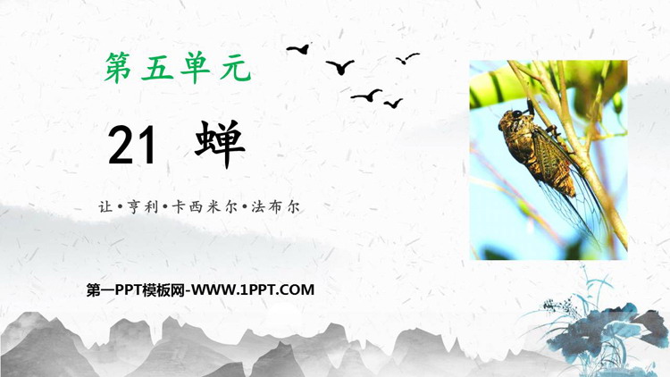 《蝉》PPT优质教学课件