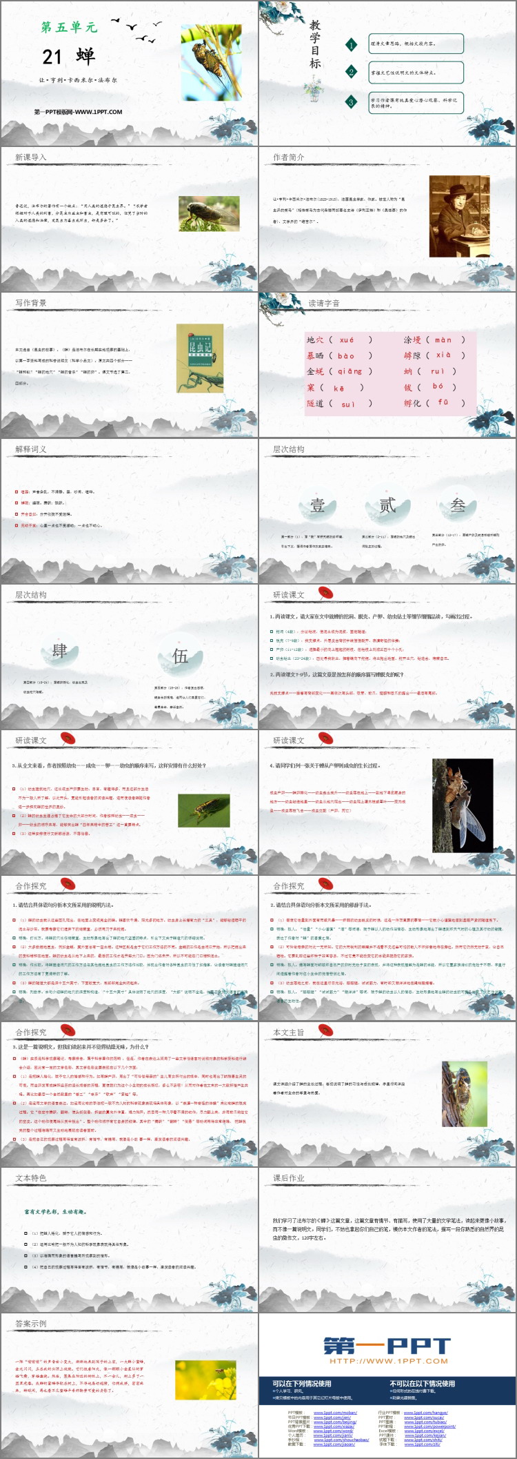 《蝉》PPT优质教学课件