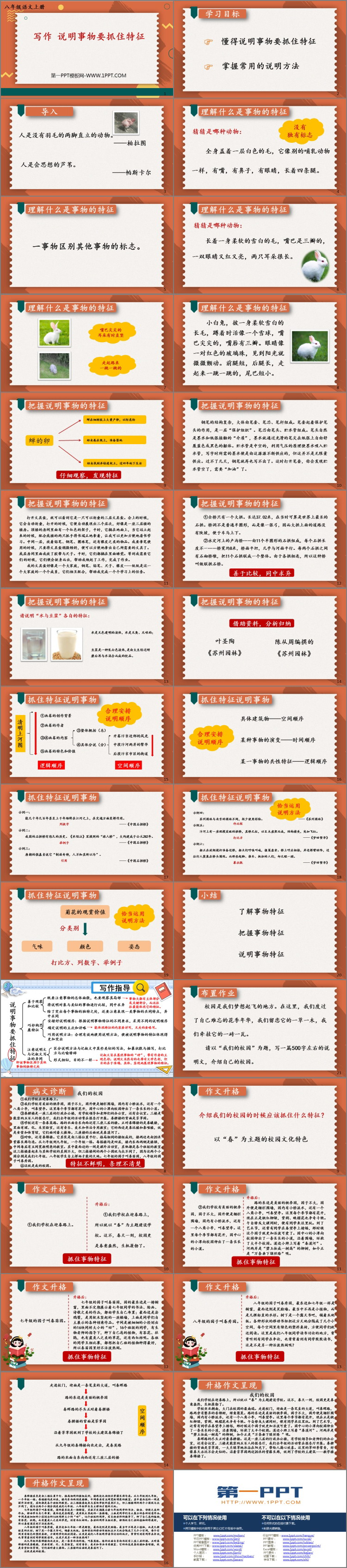 《说明事物要抓住特征》PPT免费课件
