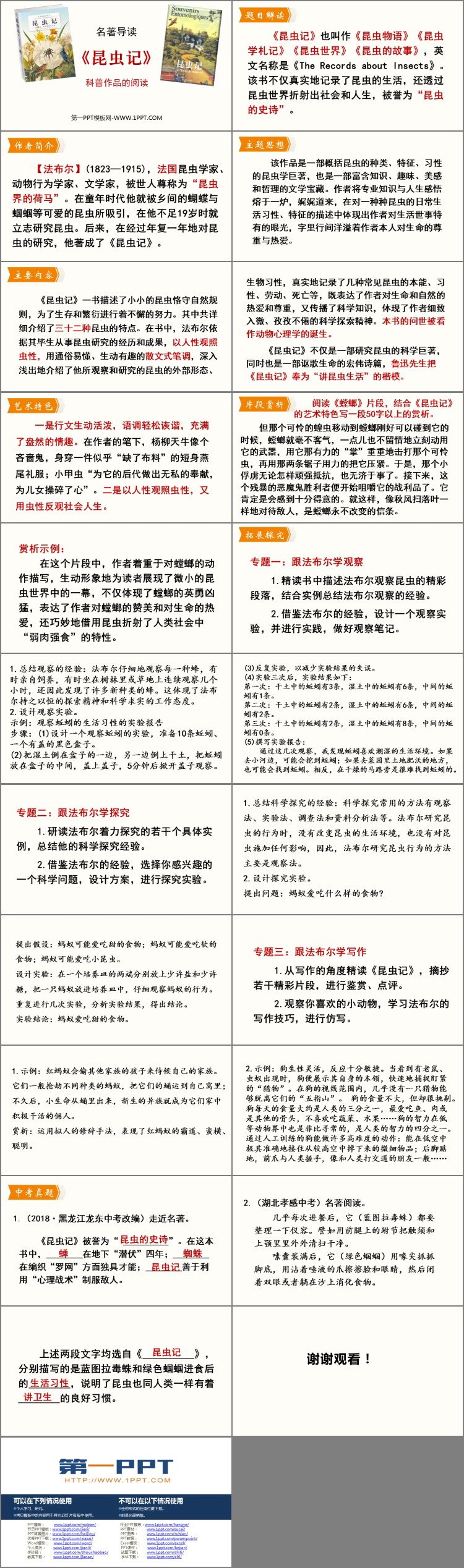 《昆虫记》PPT教学课件