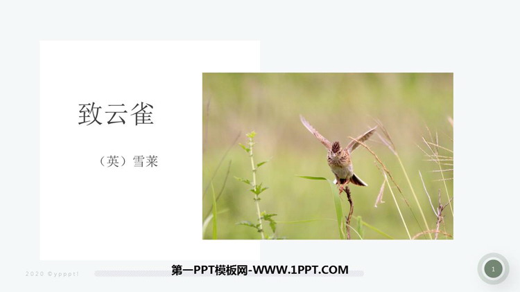《致云雀》PPT精品课件