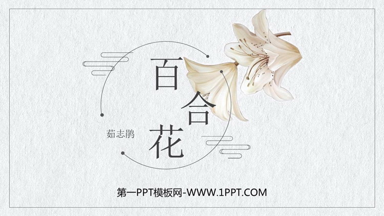 《百合花》PPT免费课件
