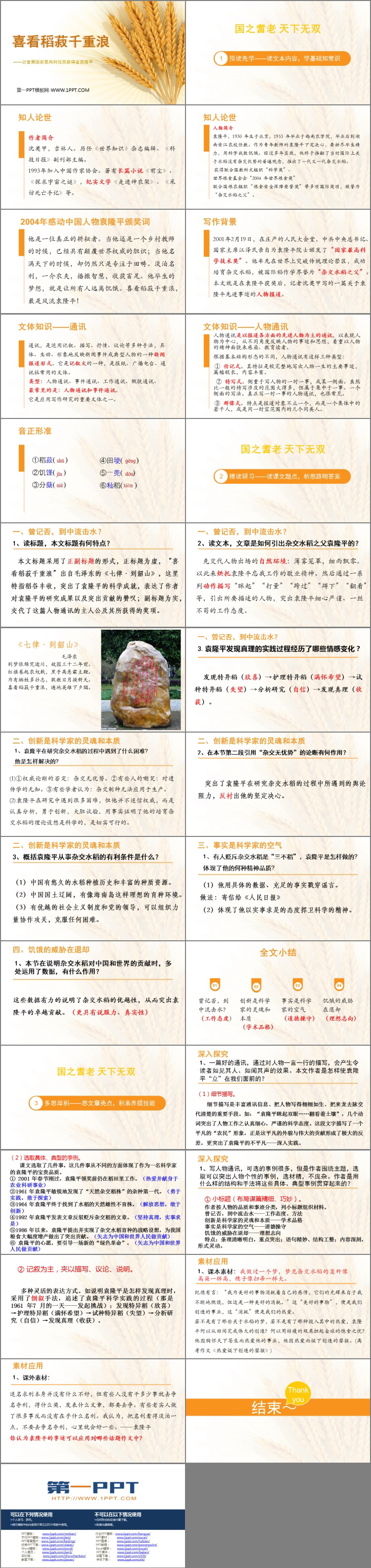 《喜看稻菽千重浪》PPT课件下载