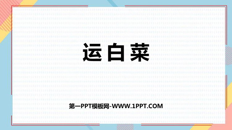 《运白菜》加与减PPT免费课件