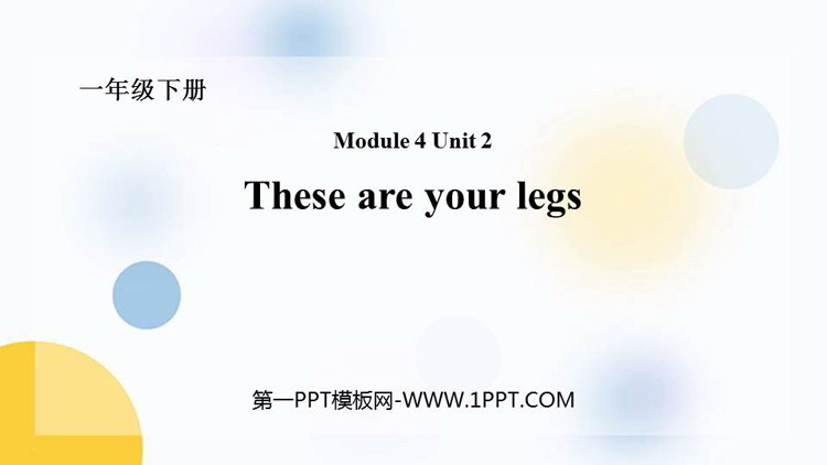 《These are your legs》PPT教学课件