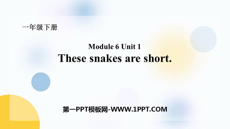 《These snakes are short》PPT免费课件