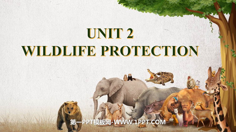 《Wildlife Protection》PPT课件