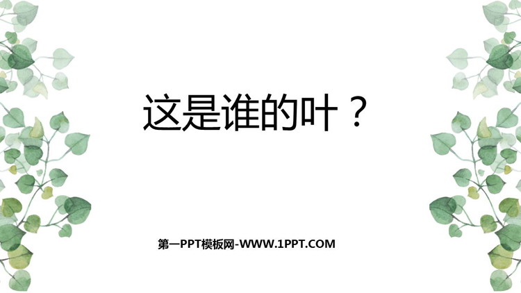 《这是谁的叶?》PPT免费下载