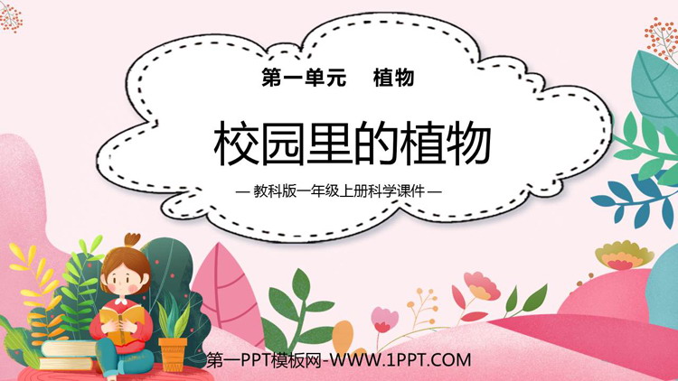 《校园里的植物》PPT免费课件