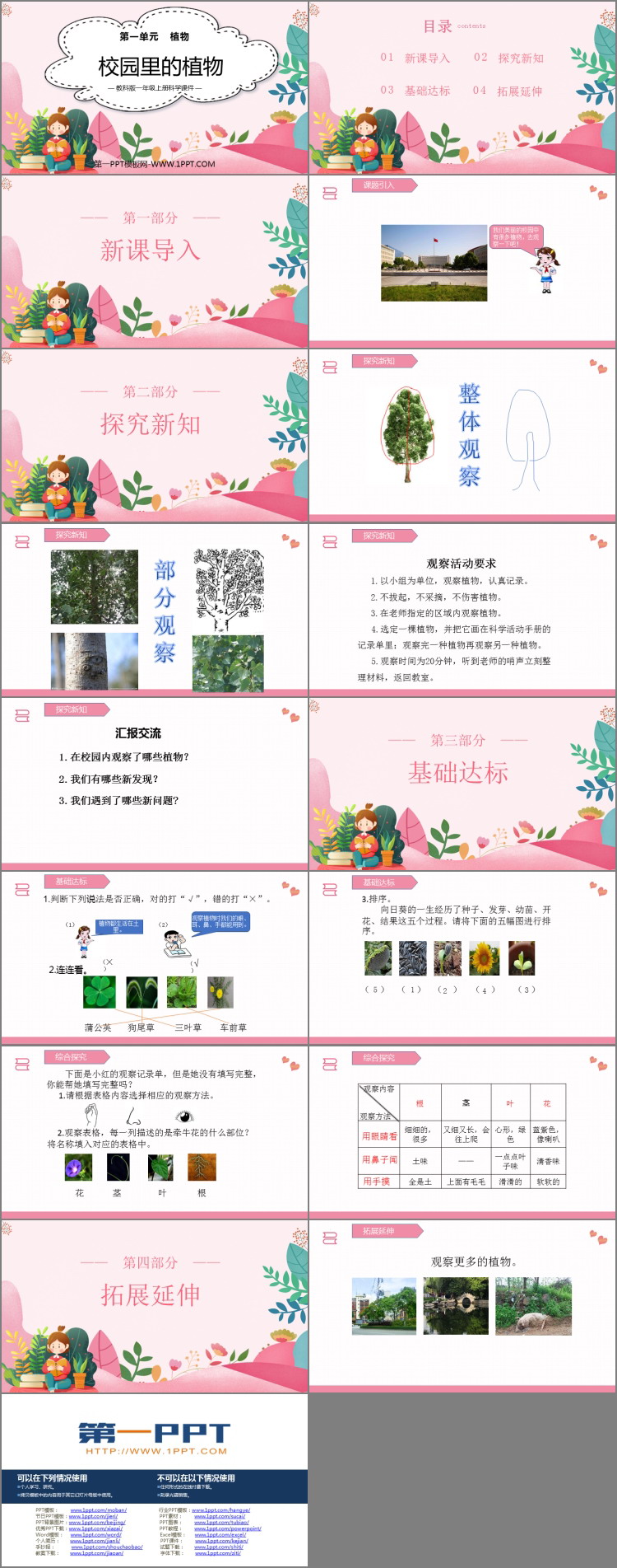 《校园里的植物》PPT免费课件