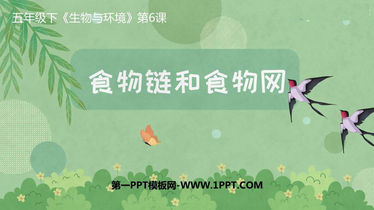 《食物链和食物网》PPT教学课件
