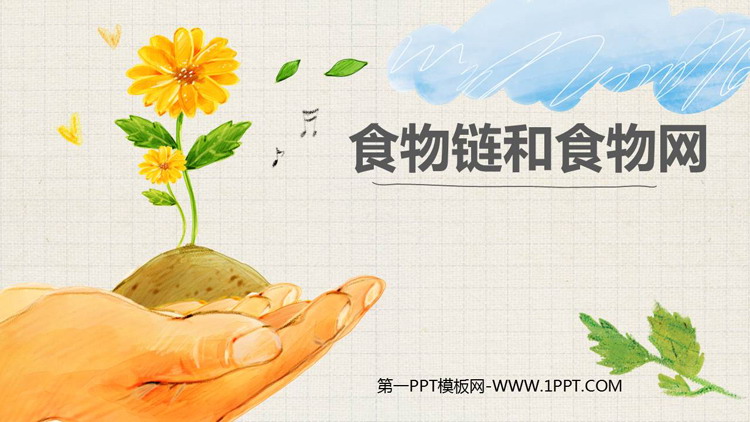 《食物链和食物网》PPT课件下载