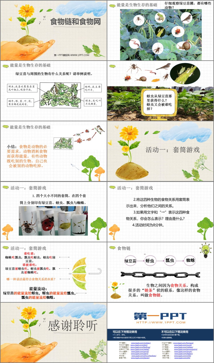 《食物链和食物网》PPT课件下载