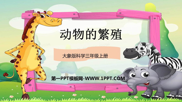 《动物的繁殖》PPT精品课件