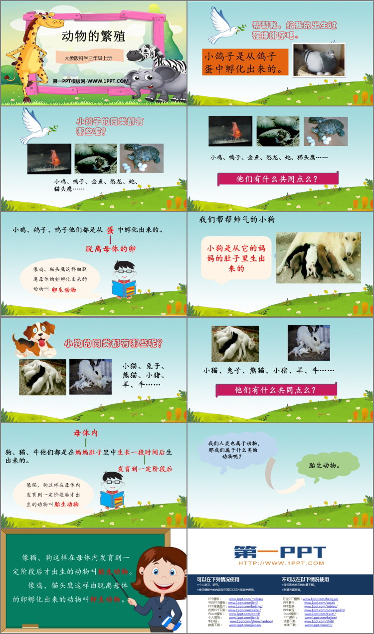 《动物的繁殖》PPT精品课件