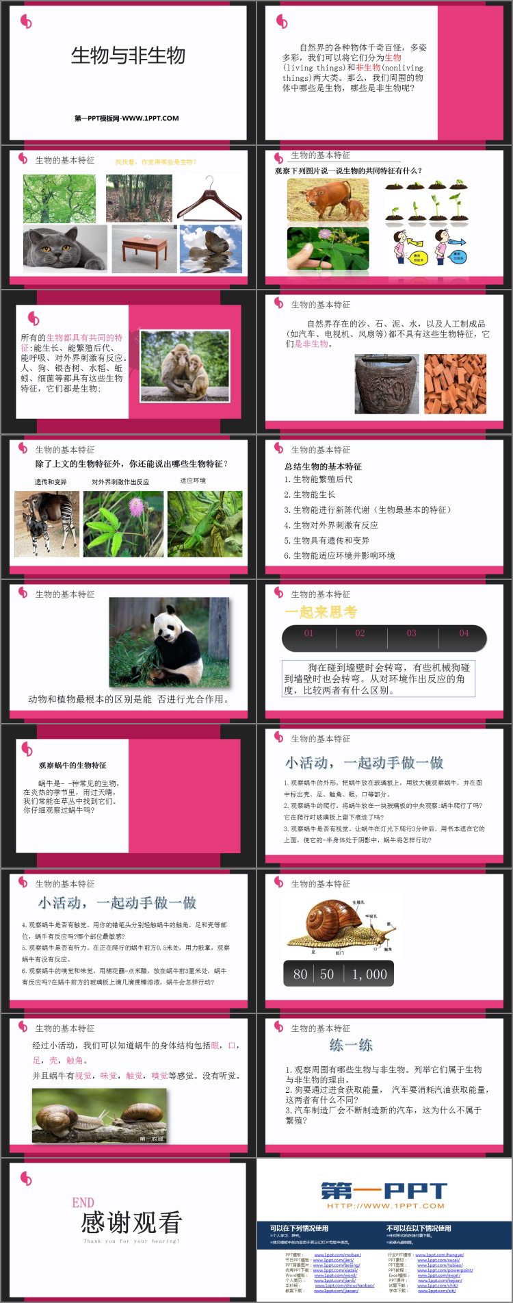 《生物与非生物》PPT下载