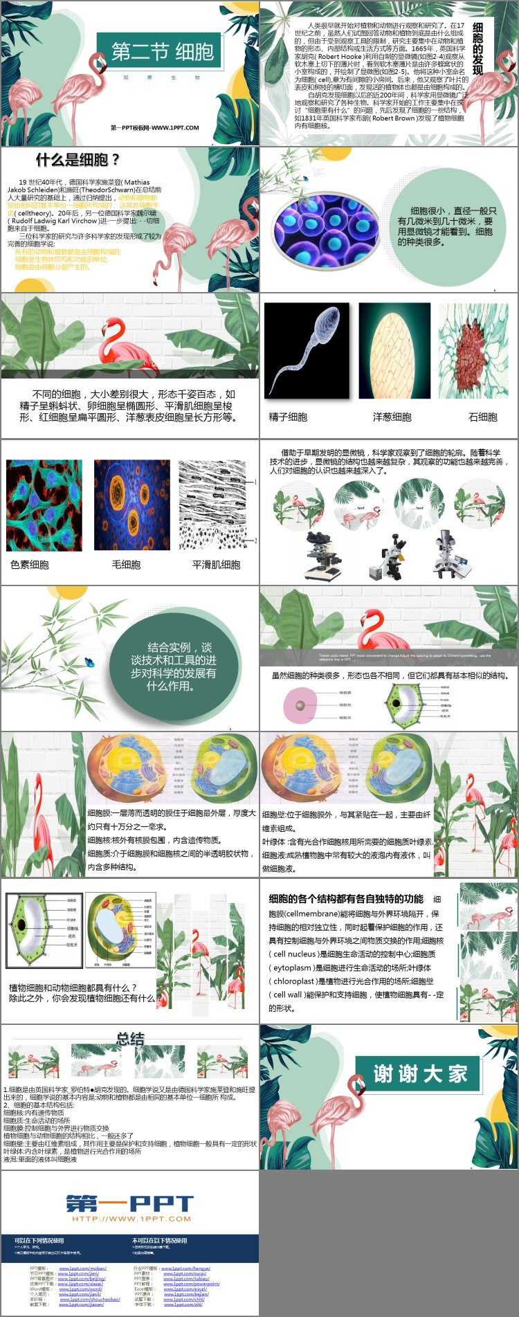 《细胞》PPT课件下载