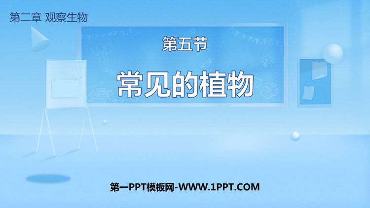 《常见的植物》PPT免费下载
