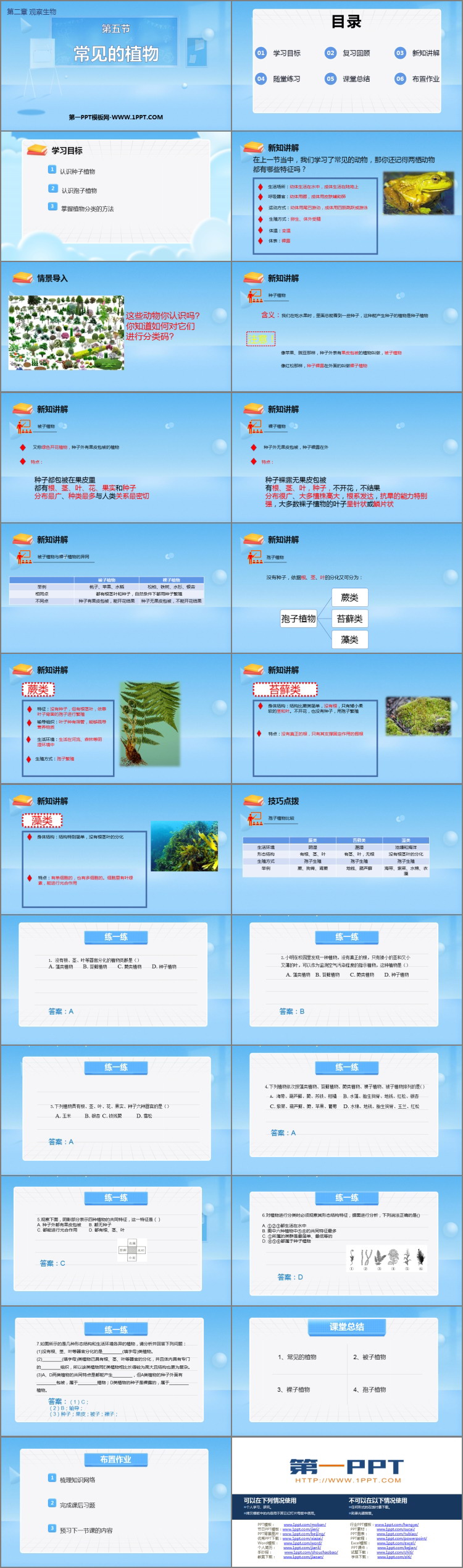 《常见的植物》PPT免费下载