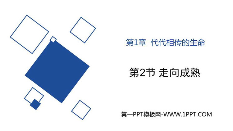 《走向成熟》PPT课件下载