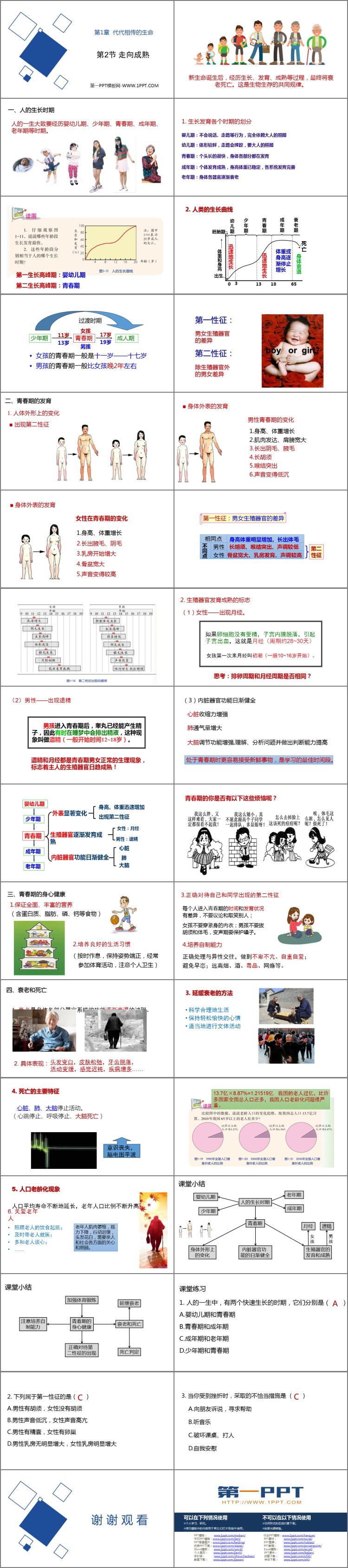 《走向成熟》PPT课件下载
