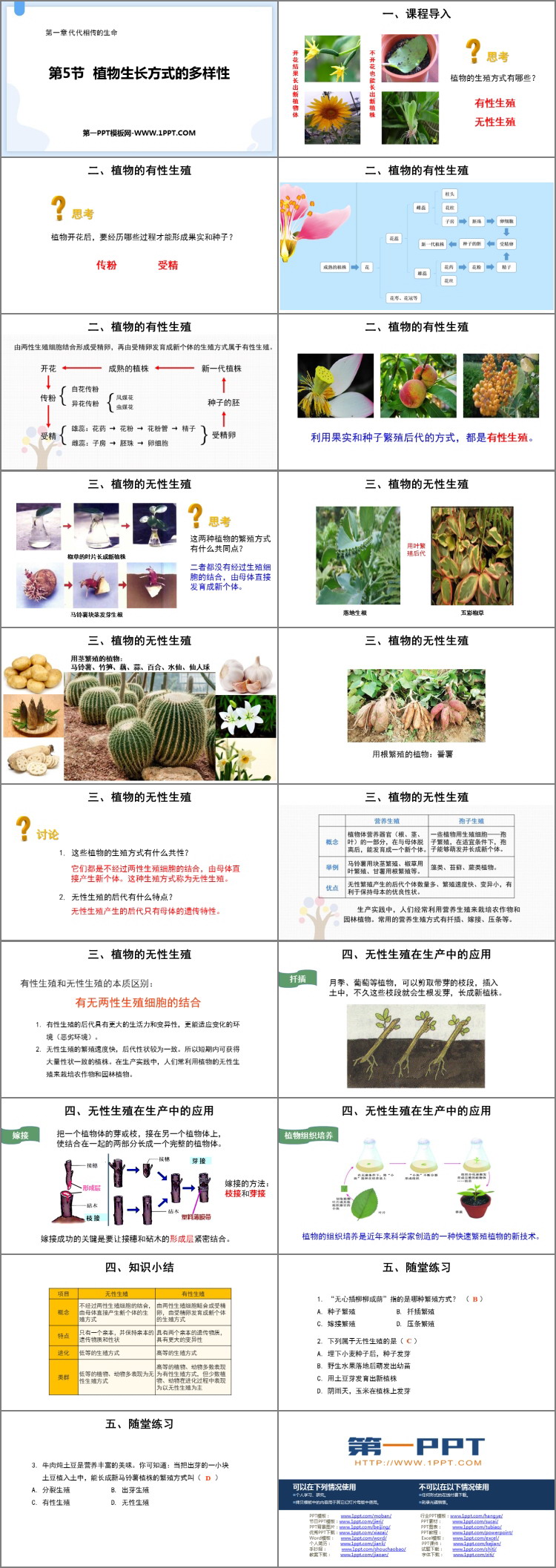 《植物生殖方式的多样性》PPT下载