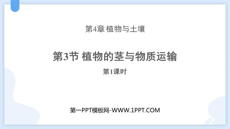 《植物的茎与物质运输》PPT下载(第1课时)
