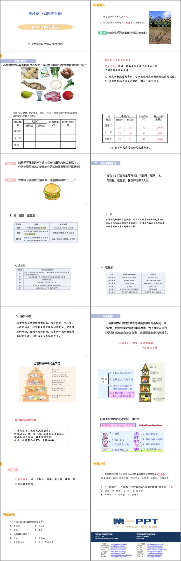 《食物与营养》PPT课件