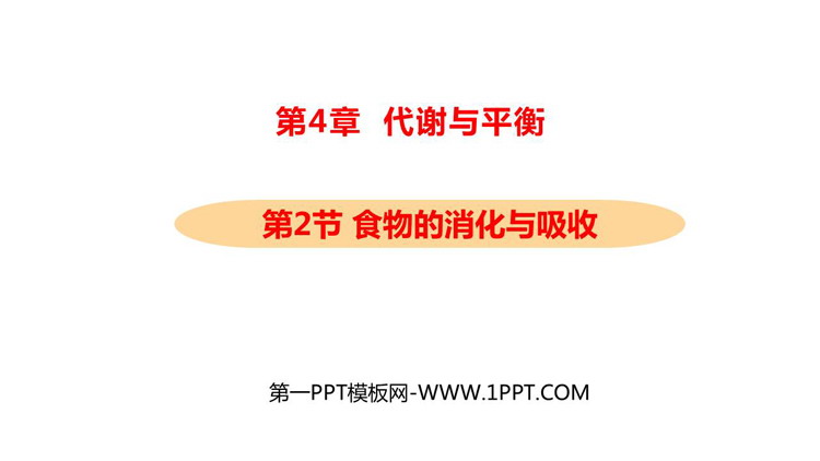 《食物的消化与吸收》PPT下载