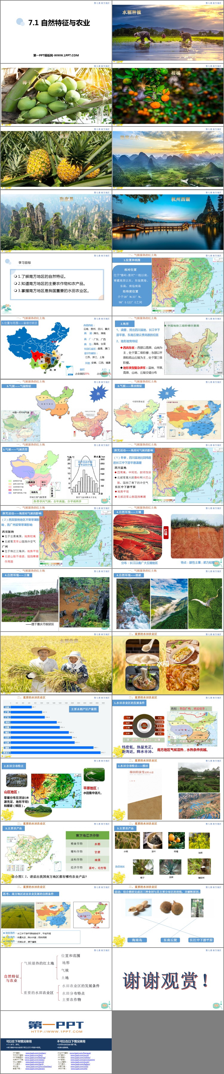 《自然特征与农业》南方地区PPT免费课件