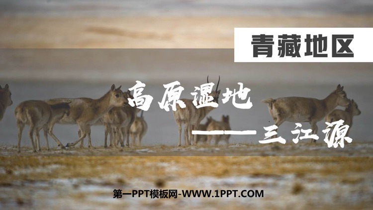 《高原湿地三江源地区》青藏地区PPT免费课件