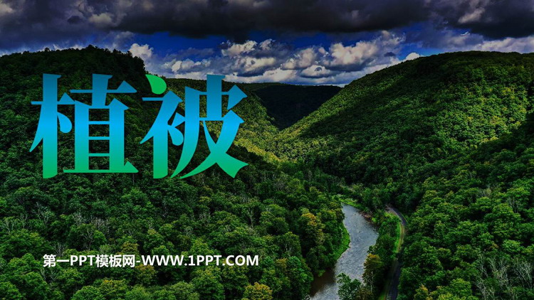《植被》植被与土壤PPT课件下载
