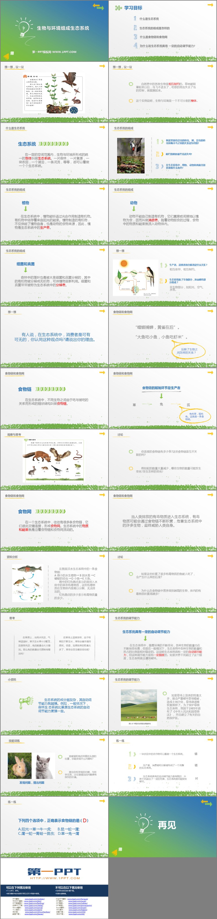 《生物与环境组成生态系统》PPT免费课件下载