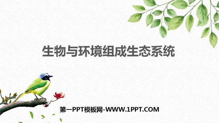 《生物与环境组成生态系统》PPT优质课件下载