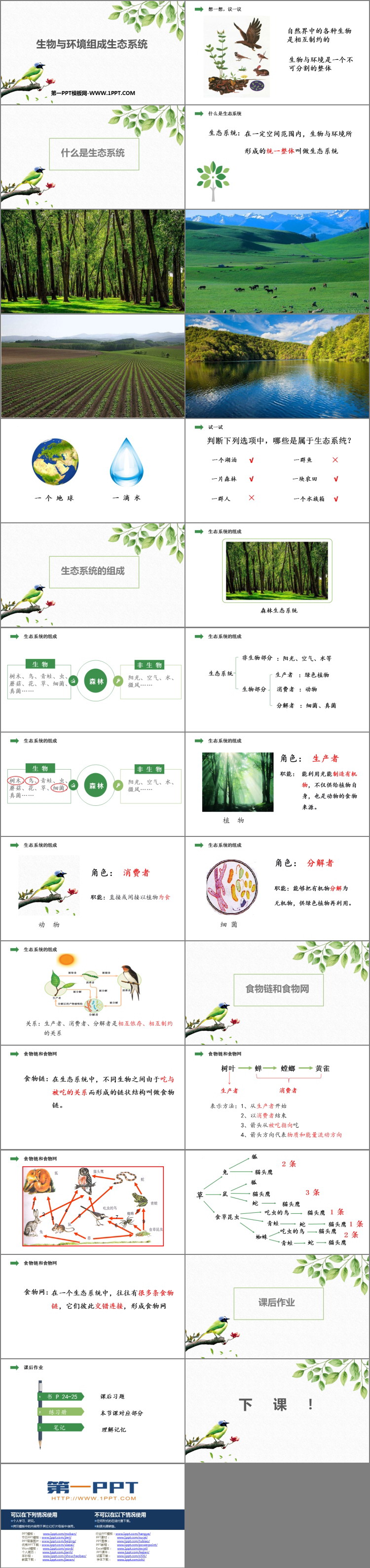 《生物与环境组成生态系统》PPT优质课件下载