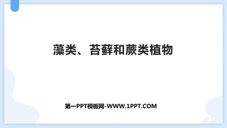 《藻类、苔藓和蕨类植物》PPT精品课件下载
