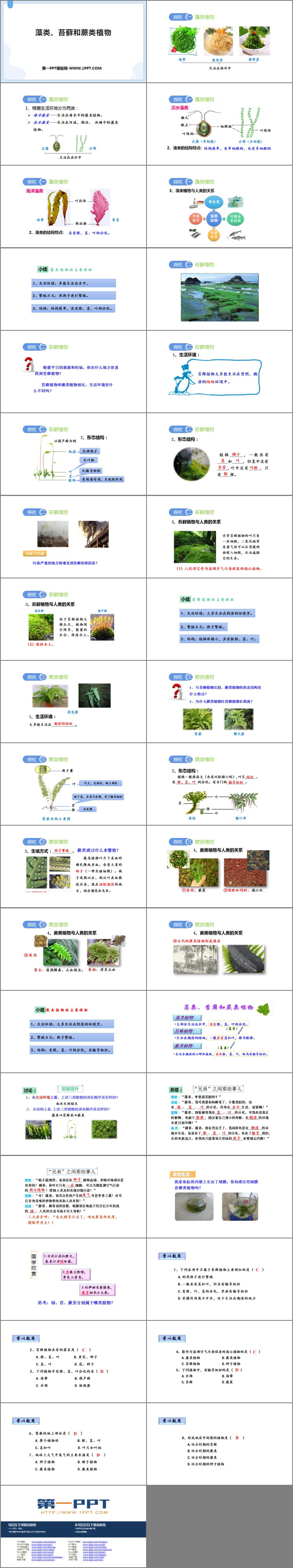 《藻类、苔藓和蕨类植物》PPT精品课件下载