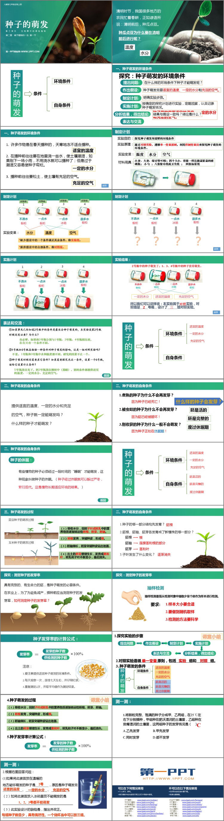 《种子的萌发》PPT免费课件下载