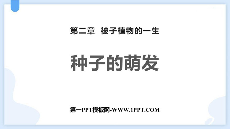《种子的萌发》PPT精品课件下载