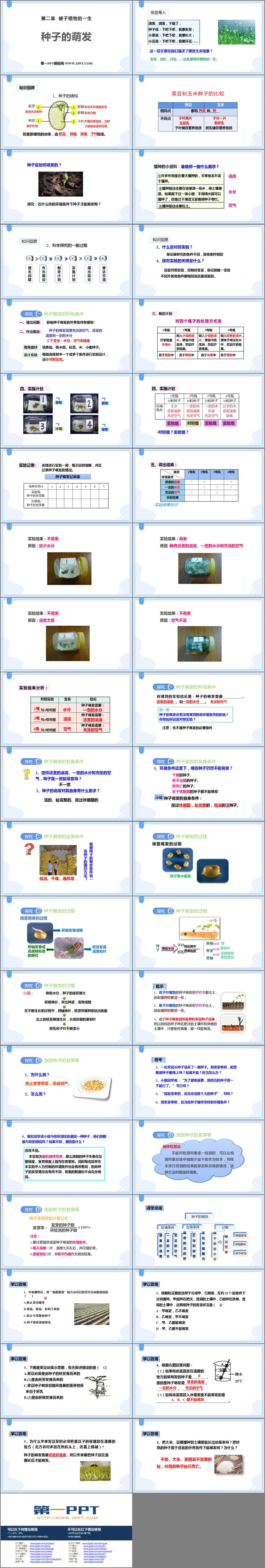 《种子的萌发》PPT精品课件下载