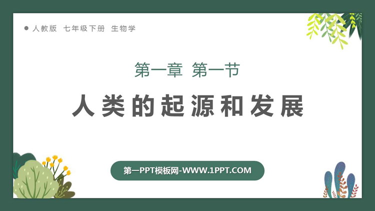 《人类的起源和发展》PPT免费课件下载