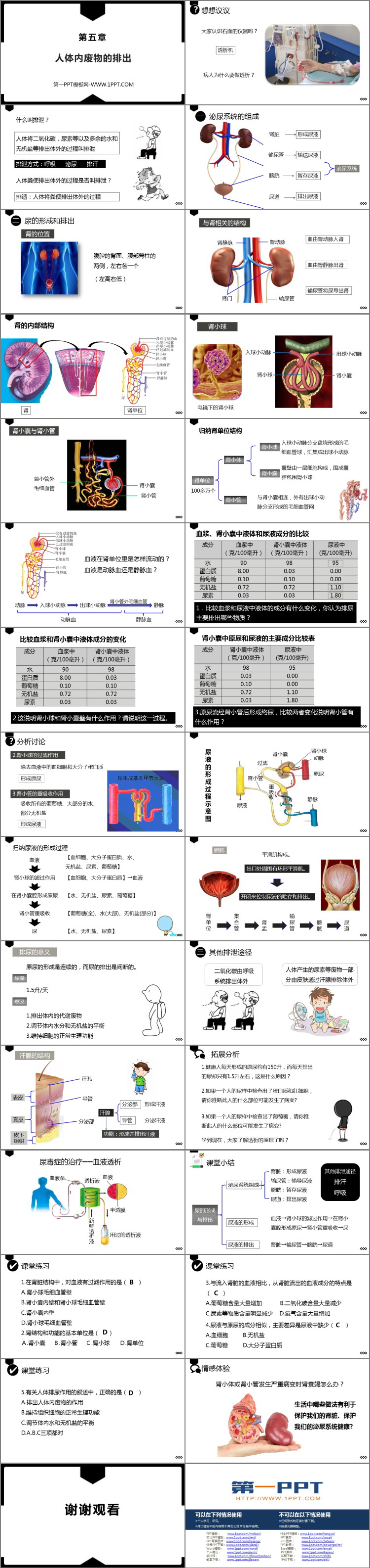 《人体内废物的排出》PPT优质课件