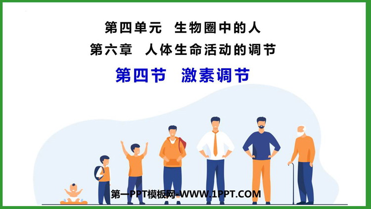 《激素调节》PPT免费教学课件