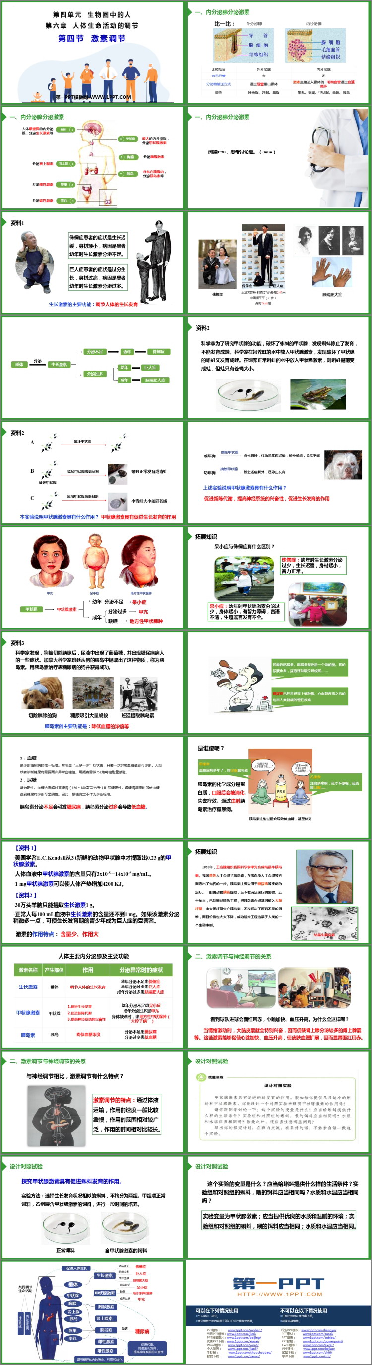 《激素调节》PPT免费教学课件