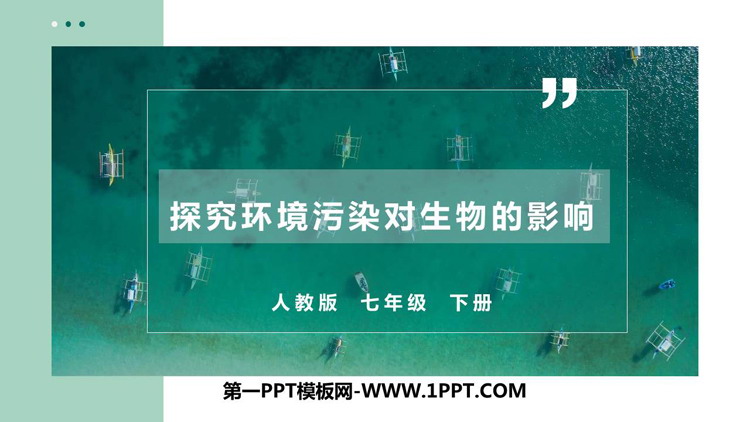《探究环境污染对生物的影响》PPT课件下载