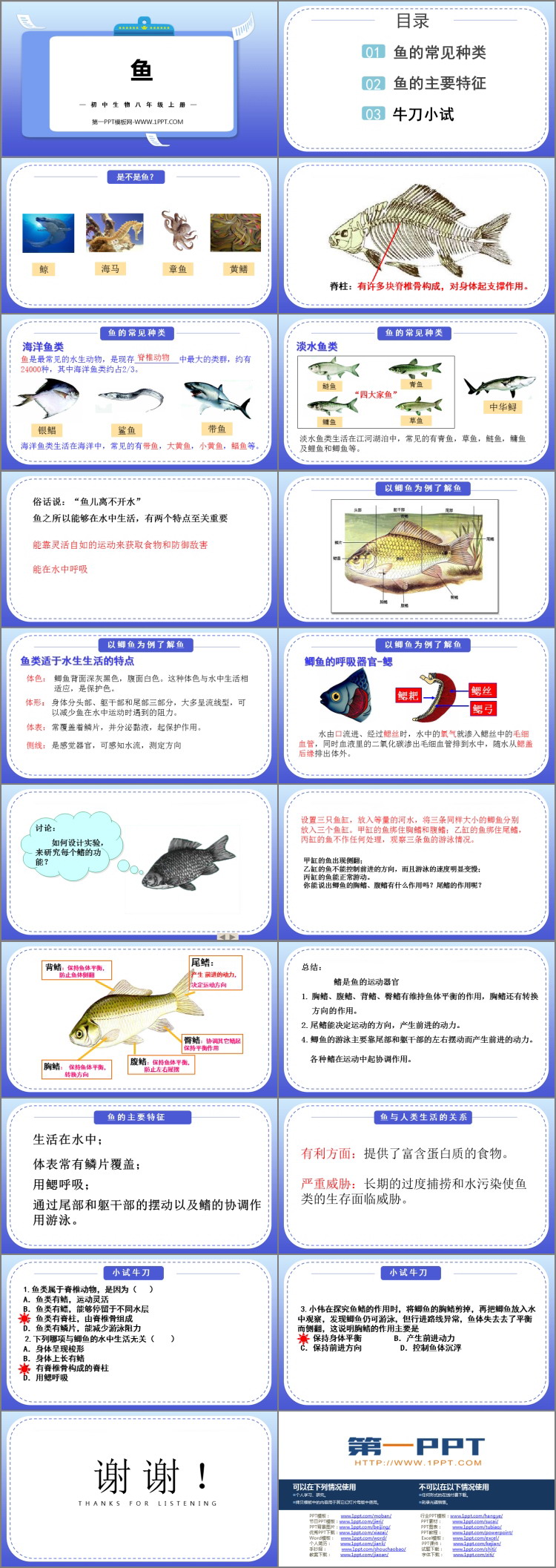 《鱼》PPT免费下载