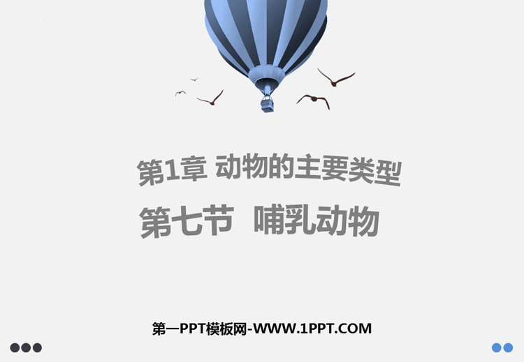 《哺乳动物》PPT优秀课件