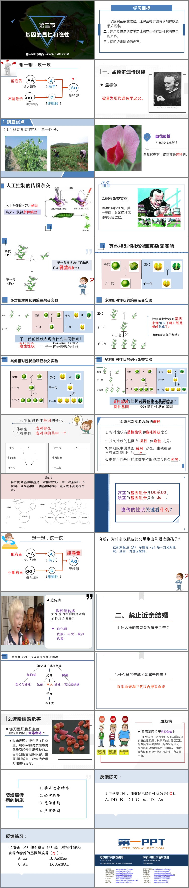 《基因的显性和隐性》PPT精品课件下载